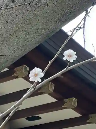 馬橋稲荷神社の自然