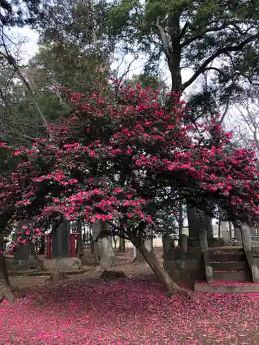 東蕗田天満社の自然