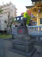 白髭神社の狛犬