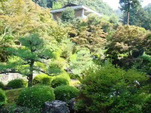 三室戸寺の庭園