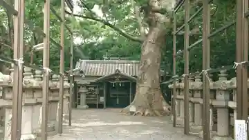 伊久比売神社の本殿・本堂