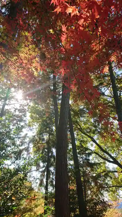 玉野御嶽神社の自然