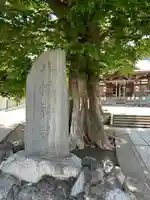 滝野川八幡神社(東京都)