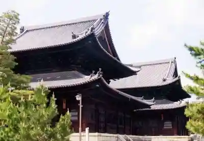 妙心寺（妙心禅寺）(京都府)
