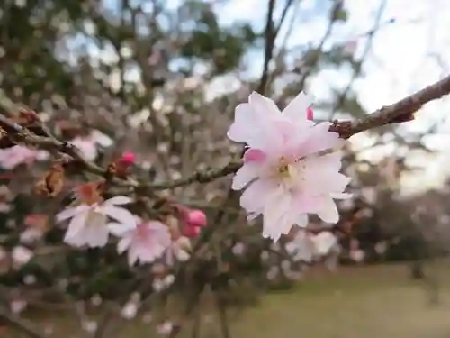 白雲神社(京都府)