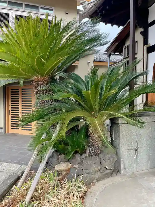 瑞松院の{uncategorized: "未分類", other: "その他", undefined: "問題あり", building: "その他建物", grave: "お墓", sacred_gate: "鳥居", guardian: "狛犬", statue: "像", buddha: "仏像", history: "歴史", nature: "自然", garden: "庭園", animal: "動物", pagoda: "塔", temizu: "手水舎", mountain_gate: "山門・神門", sanctuary: "本殿・本堂", subordinate: "末社・摂社", art: "芸術", scenery: "景色", jizo: "地蔵", ema: "絵馬", goshuin: "御朱印", omikuji: "おみくじ", items: "授与品その他", amulet: "お守り", goshuincho: "御朱印帳", eats: "食事", festival: "お祭り", votive_dance: "神楽", shichigosan: "七五三参", wedding: "結婚式", experience: "体験その他", initially: "初詣", around: "周辺", anti_infection: "感染症対策"}