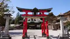 箭弓稲荷神社の鳥居