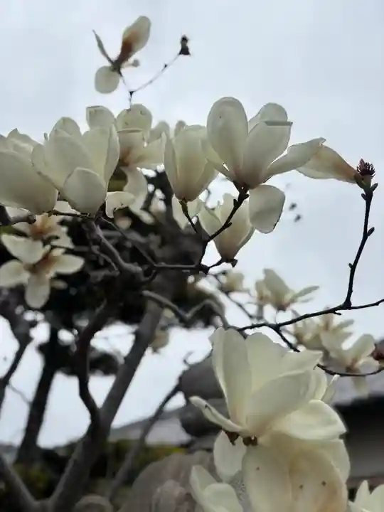 無量寿院(兵庫県)