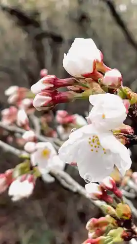 浄居寺(山梨県)