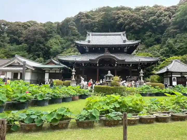 三室戸寺(京都府)