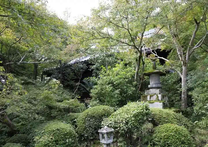 善法律寺(京都府)