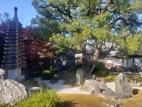 崇福寺の庭園