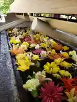 鳩森八幡神社の手水舎