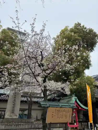 大阪天満宮の{uncategorized: "未分類", other: "その他", undefined: "問題あり", building: "その他建物", grave: "お墓", sacred_gate: "鳥居", guardian: "狛犬", statue: "像", buddha: "仏像", history: "歴史", nature: "自然", garden: "庭園", animal: "動物", pagoda: "塔", temizu: "手水舎", mountain_gate: "山門・神門", sanctuary: "本殿・本堂", subordinate: "末社・摂社", art: "芸術", scenery: "景色", jizo: "地蔵", ema: "絵馬", goshuin: "御朱印", omikuji: "おみくじ", items: "授与品その他", amulet: "お守り", goshuincho: "御朱印帳", eats: "食事", festival: "お祭り", votive_dance: "神楽", shichigosan: "七五三参", wedding: "結婚式", experience: "体験その他", initially: "初詣", around: "周辺", anti_infection: "感染症対策"}