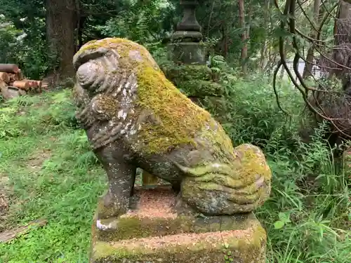 神社(名称不明)の狛犬