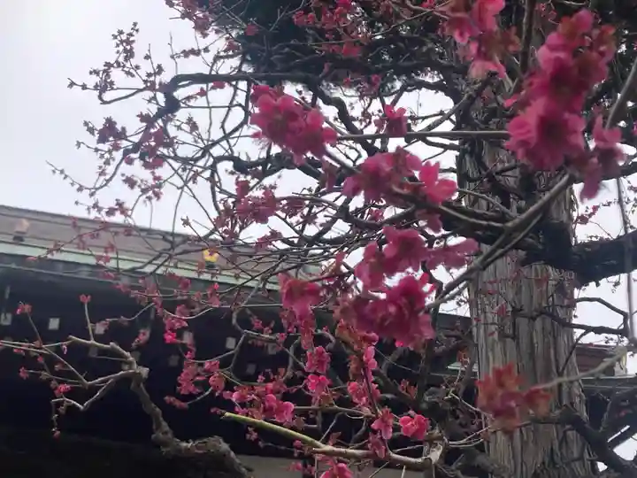 東覺院(東京都)