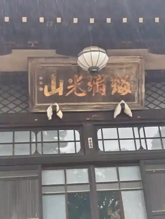 南蔵院(東京都)