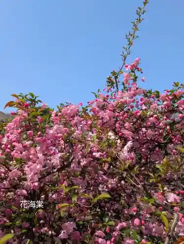 豊顕寺(神奈川県)