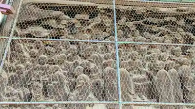 成田山新勝寺の芸術