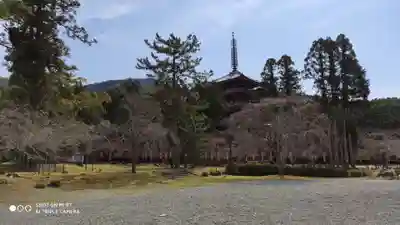 醍醐寺(京都府)