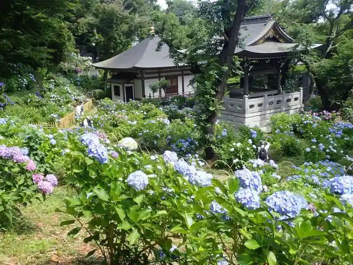 妙楽寺(神奈川県)