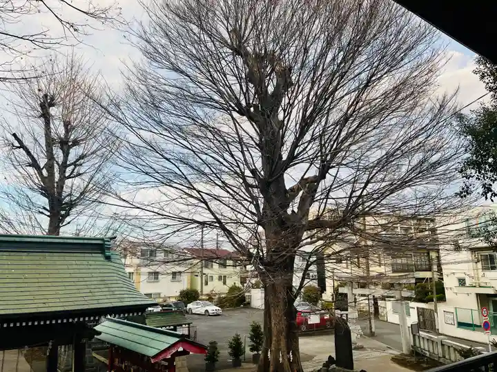 滝野川八幡神社(東京都)