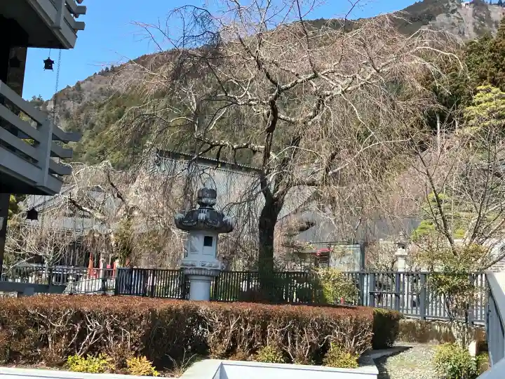 久遠寺の{uncategorized: "未分類", other: "その他", undefined: "問題あり", building: "その他建物", grave: "お墓", sacred_gate: "鳥居", guardian: "狛犬", statue: "像", buddha: "仏像", history: "歴史", nature: "自然", garden: "庭園", animal: "動物", pagoda: "塔", temizu: "手水舎", mountain_gate: "山門・神門", sanctuary: "本殿・本堂", subordinate: "末社・摂社", art: "芸術", scenery: "景色", jizo: "地蔵", ema: "絵馬", goshuin: "御朱印", omikuji: "おみくじ", items: "授与品その他", amulet: "お守り", goshuincho: "御朱印帳", eats: "食事", festival: "お祭り", votive_dance: "神楽", shichigosan: "七五三参", wedding: "結婚式", experience: "体験その他", initially: "初詣", around: "周辺", anti_infection: "感染症対策"}
