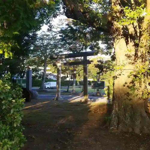 熊野神社の鳥居