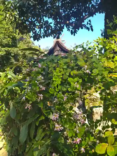 阿智神社の景色