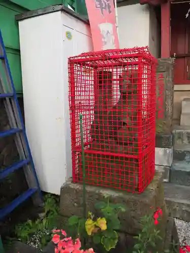 矢口中稲荷神社の狛犬