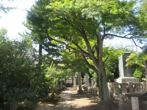 護国寺(東京都)