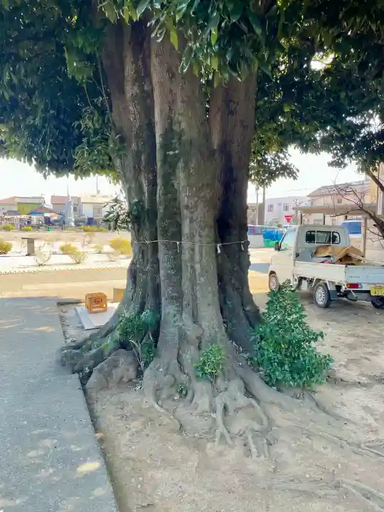 御嶽神社の{uncategorized: "未分類", other: "その他", undefined: "問題あり", building: "その他建物", grave: "お墓", sacred_gate: "鳥居", guardian: "狛犬", statue: "像", buddha: "仏像", history: "歴史", nature: "自然", garden: "庭園", animal: "動物", pagoda: "塔", temizu: "手水舎", mountain_gate: "山門・神門", sanctuary: "本殿・本堂", subordinate: "末社・摂社", art: "芸術", scenery: "景色", jizo: "地蔵", ema: "絵馬", goshuin: "御朱印", omikuji: "おみくじ", items: "授与品その他", amulet: "お守り", goshuincho: "御朱印帳", eats: "食事", festival: "お祭り", votive_dance: "神楽", shichigosan: "七五三参", wedding: "結婚式", experience: "体験その他", initially: "初詣", around: "周辺", anti_infection: "感染症対策"}