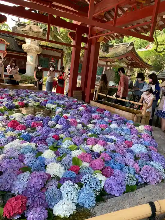 太宰府天満宮の手水舎