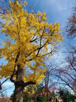 如宝寺(福島県)