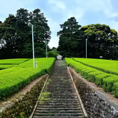 天王神社のその他建物