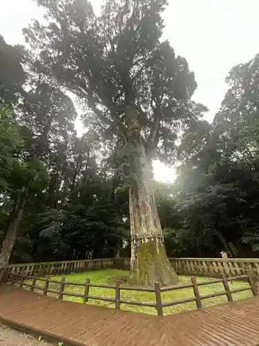 霧島神宮(鹿児島県)