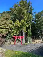 須山浅間神社(静岡県)