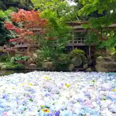 楽法寺（雨引観音）(茨城県)