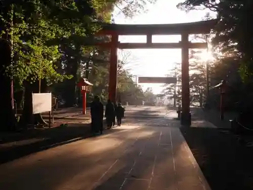 霧島神宮の鳥居