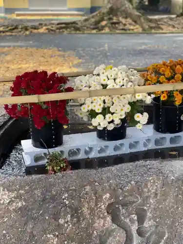 美奈宜神社の手水舎