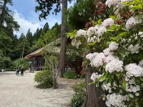 慈恩寺(山形県)