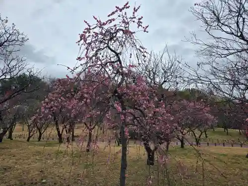 多治速比売神社(大阪府)