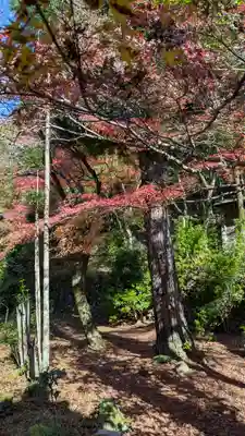 吟松寺(京都府)