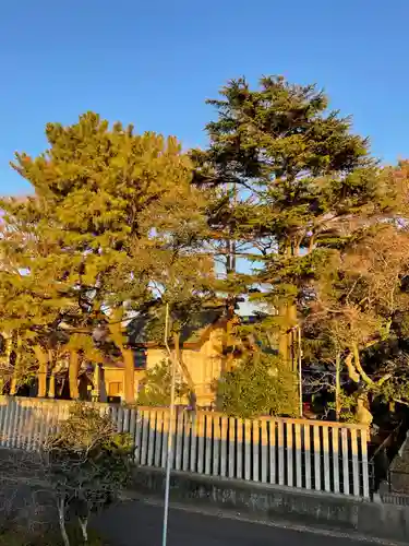 新堀日枝神社(東京都)