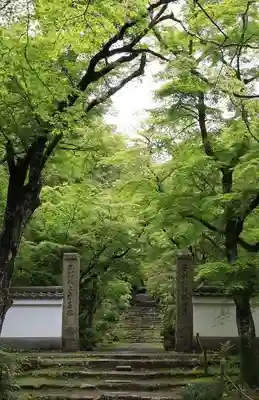 浄住寺の山門・神門