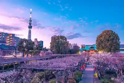 亀戸天神社(東京都)