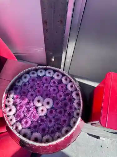 三島神社の{uncategorized: "未分類", other: "その他", undefined: "問題あり", building: "その他建物", grave: "お墓", sacred_gate: "鳥居", guardian: "狛犬", statue: "像", buddha: "仏像", history: "歴史", nature: "自然", garden: "庭園", animal: "動物", pagoda: "塔", temizu: "手水舎", mountain_gate: "山門・神門", sanctuary: "本殿・本堂", subordinate: "末社・摂社", art: "芸術", scenery: "景色", jizo: "地蔵", ema: "絵馬", goshuin: "御朱印", omikuji: "おみくじ", items: "授与品その他", amulet: "お守り", goshuincho: "御朱印帳", eats: "食事", festival: "お祭り", votive_dance: "神楽", shichigosan: "七五三参", wedding: "結婚式", experience: "体験その他", initially: "初詣", around: "周辺", anti_infection: "感染症対策"}