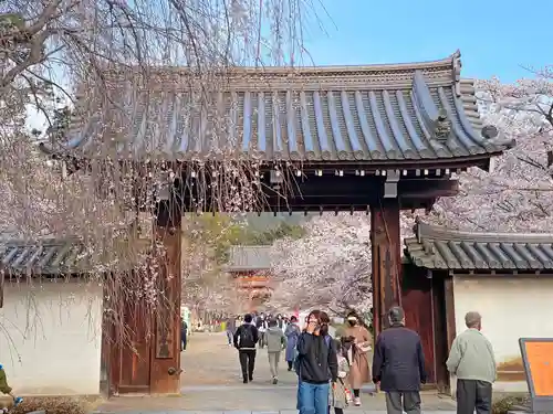 醍醐寺の山門