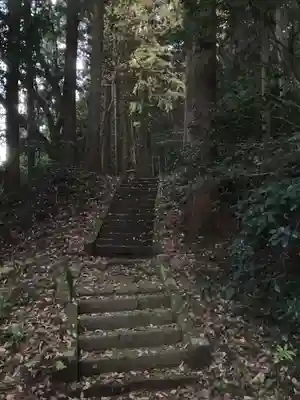 川崎神社の自然