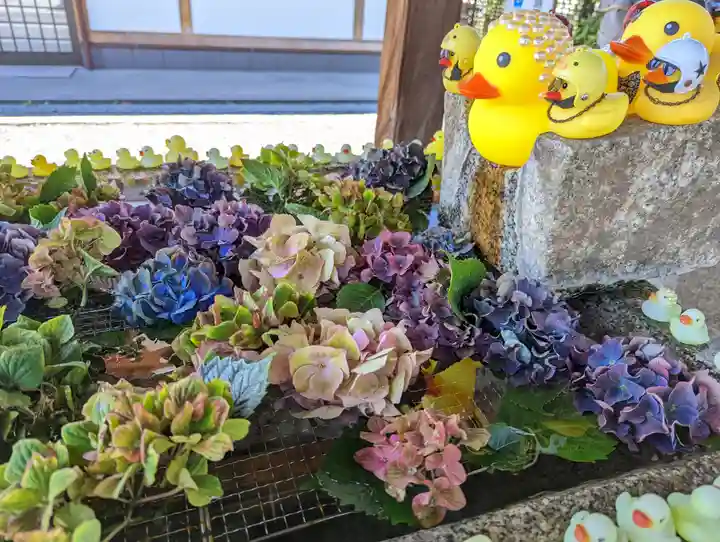 くろ谷 金戒光明寺(京都府)